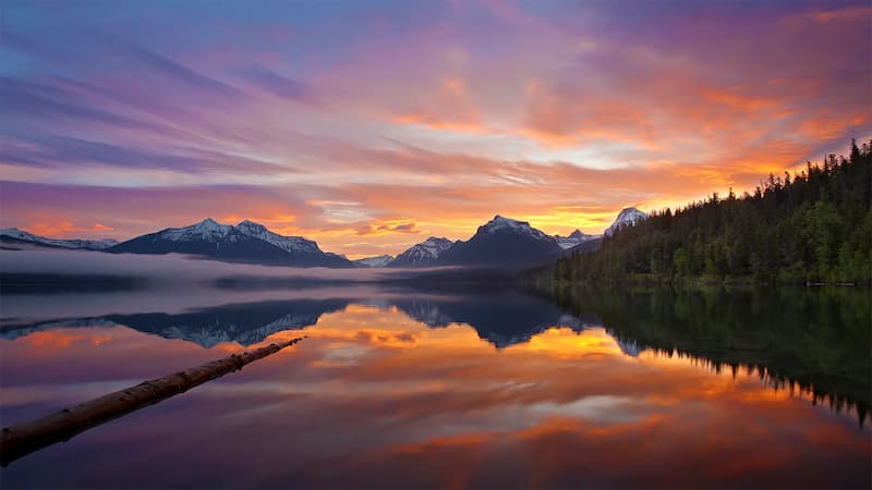The Science of the Screen: Why 60 Seconds of Nature Beats Your Third Coffee